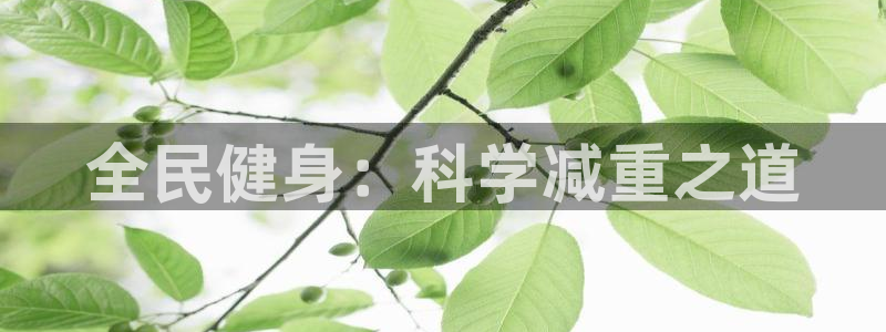 谈球吧体育