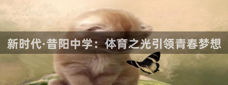 谈球吧体育