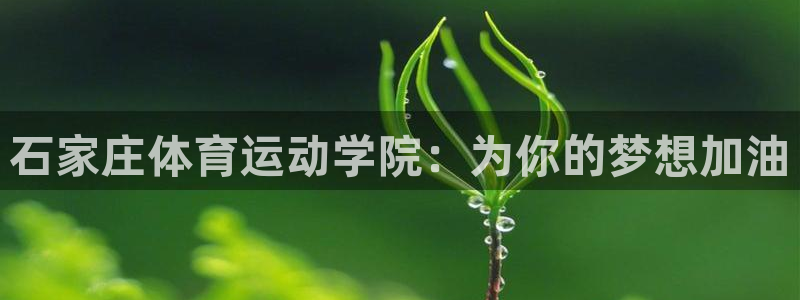 谈球吧体育