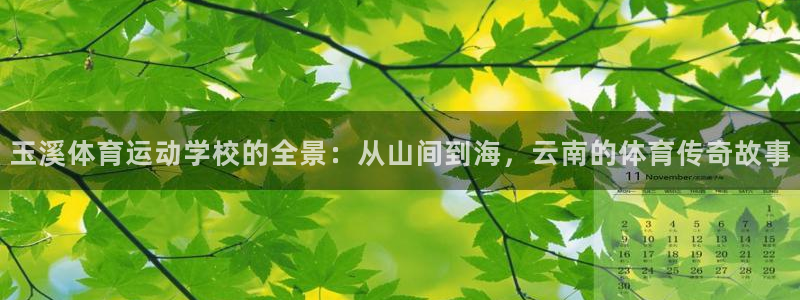 谈球吧
