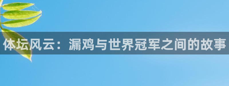 谈球吧体育官网
