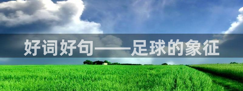 谈球吧