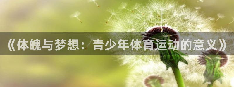 谈球吧体育官网