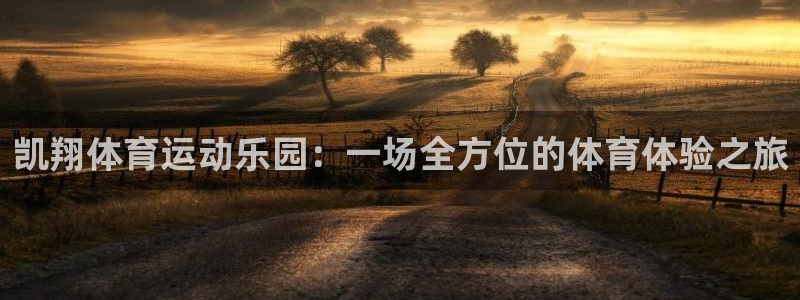谈球吧